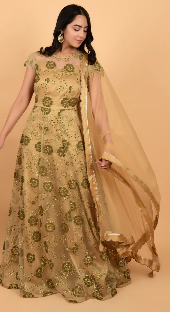 Embroidered Net Golden Gown