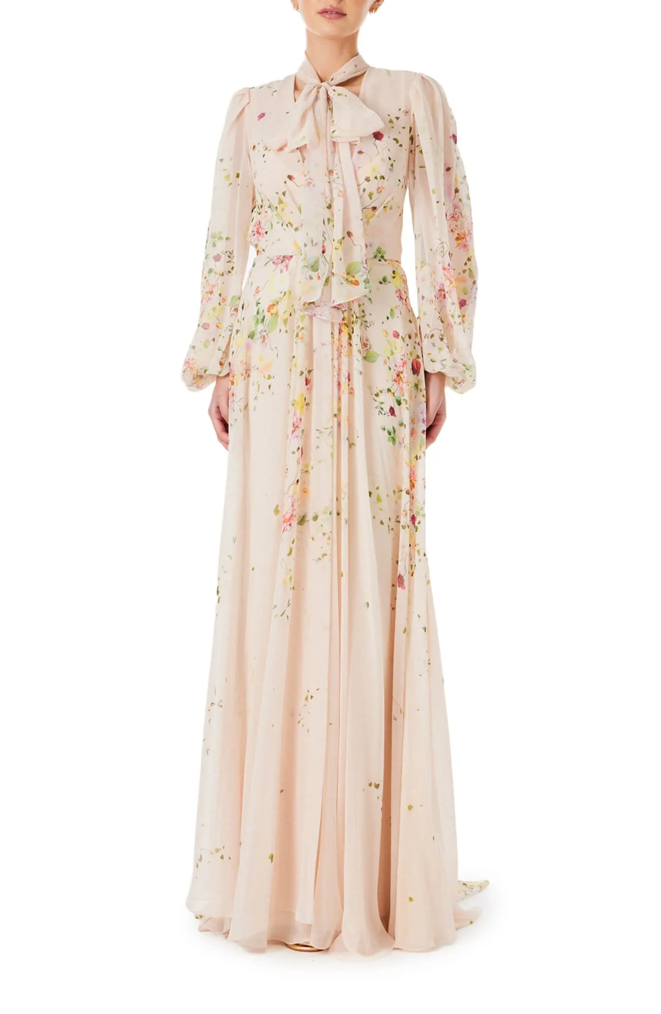 Floral Chiffon Long Sleeve Gown