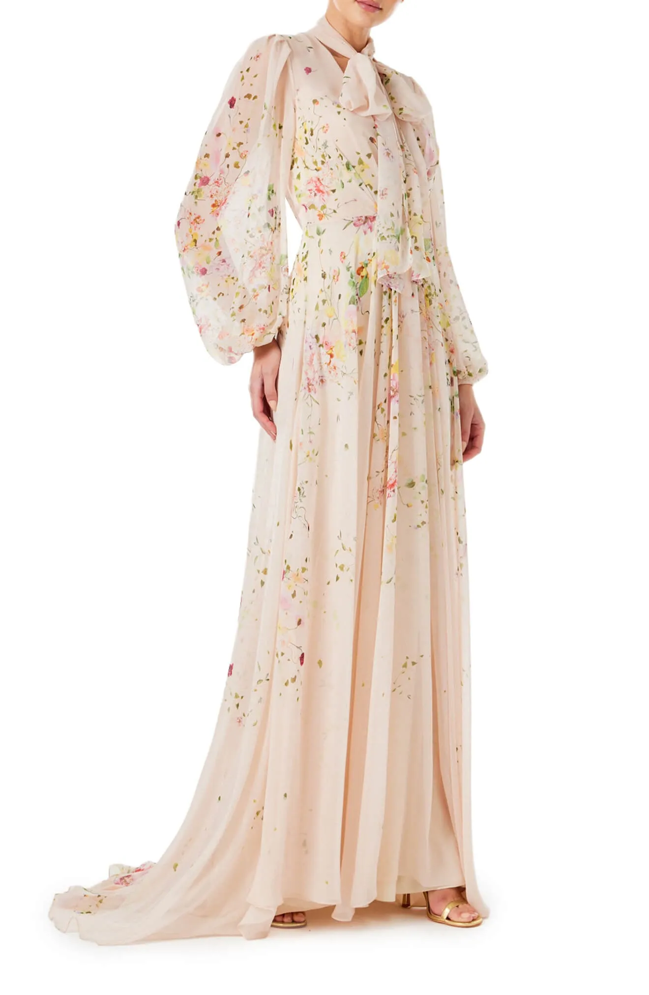 Floral Chiffon Long Sleeve Gown